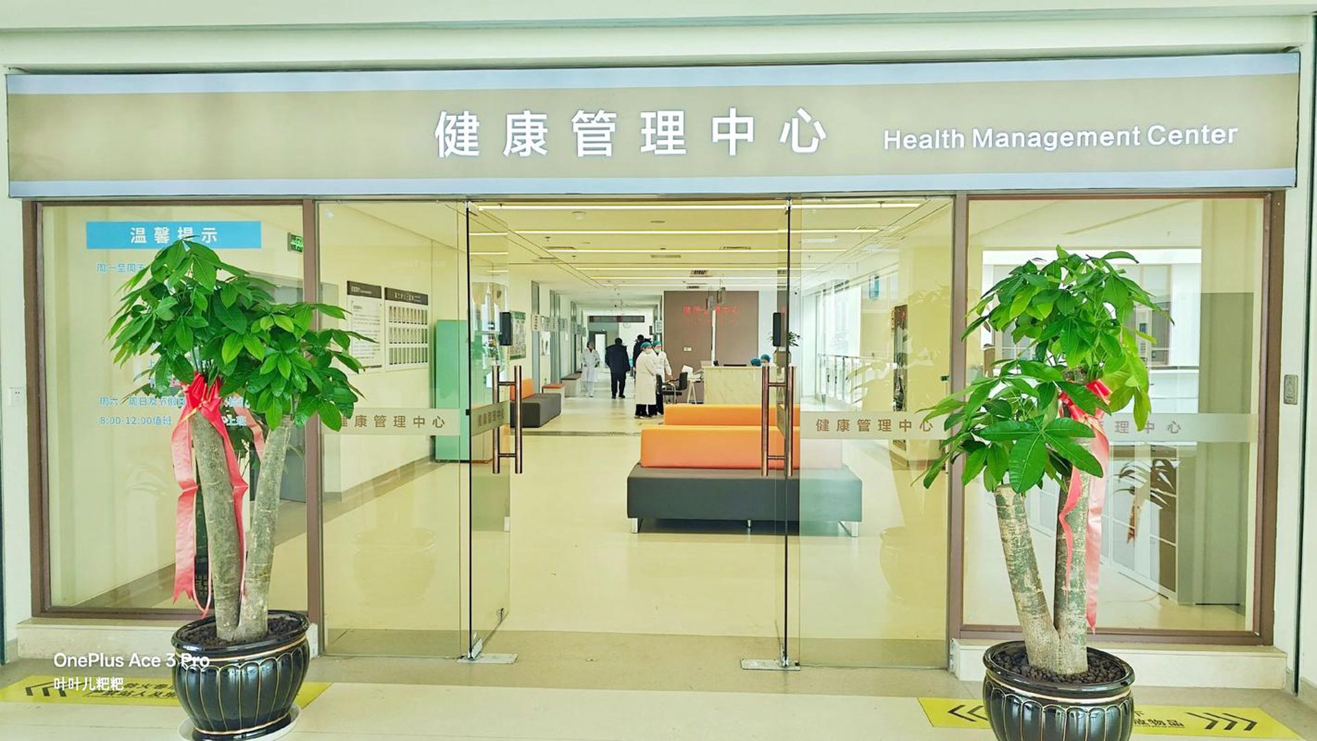 律己健康管理